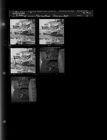 Education Committee (5 Negatives) May 3-4, 1960 [Sleeve 5, Folder a, Box 24]